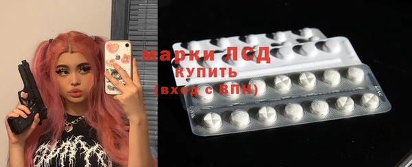 ECSTASY Алзамай