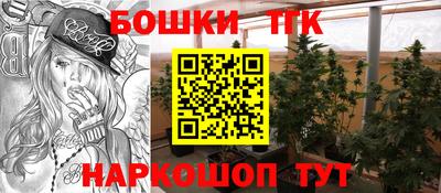 индика Кунгур