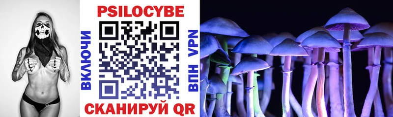 Псилоцибиновые грибы мухоморы нарко площадка состав Воронеж купить